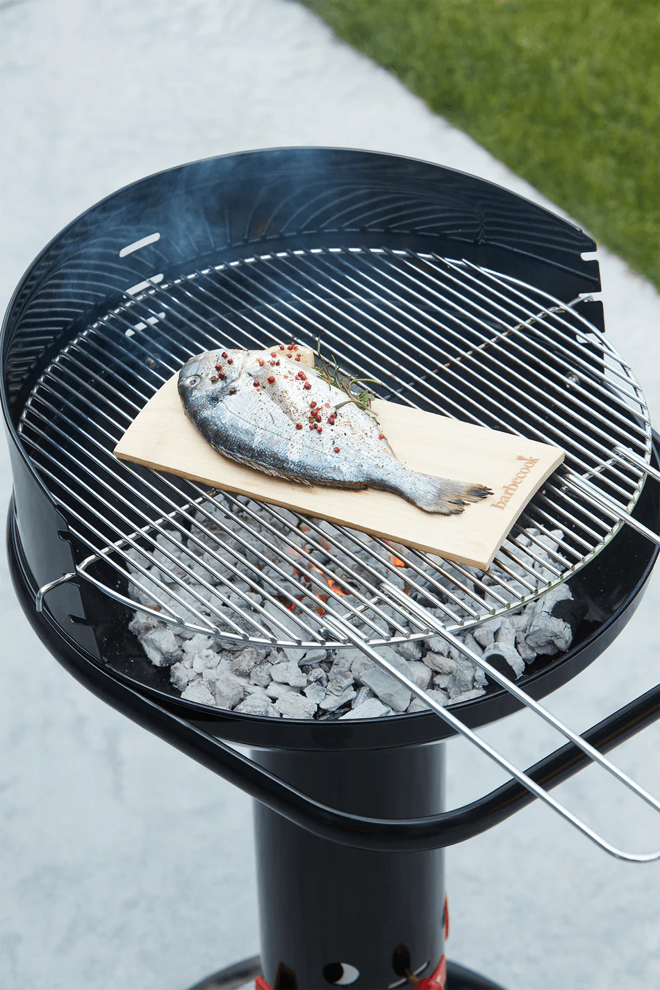 Söegrill Barbecook Loewy 50