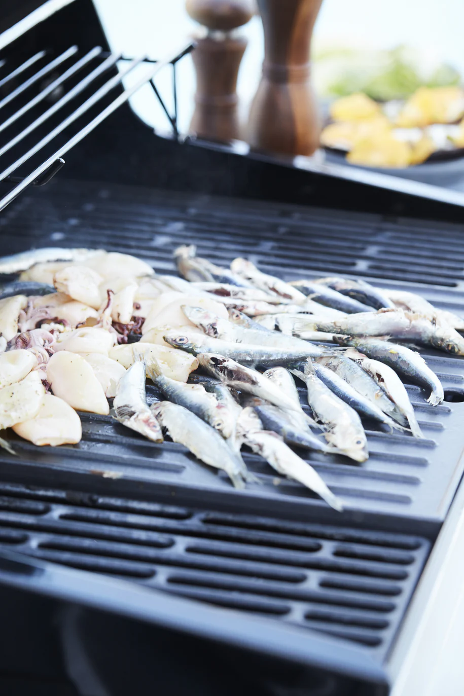 Gaasigrill Barbecook Stella 4311