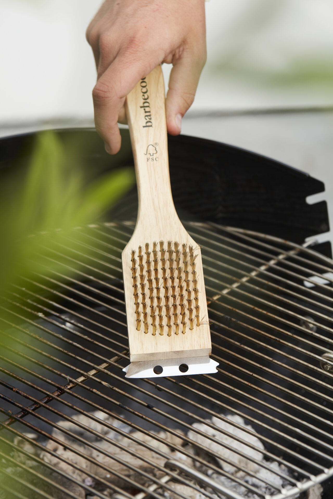 Grillipuhastushari Barbecook FSC 31 cm