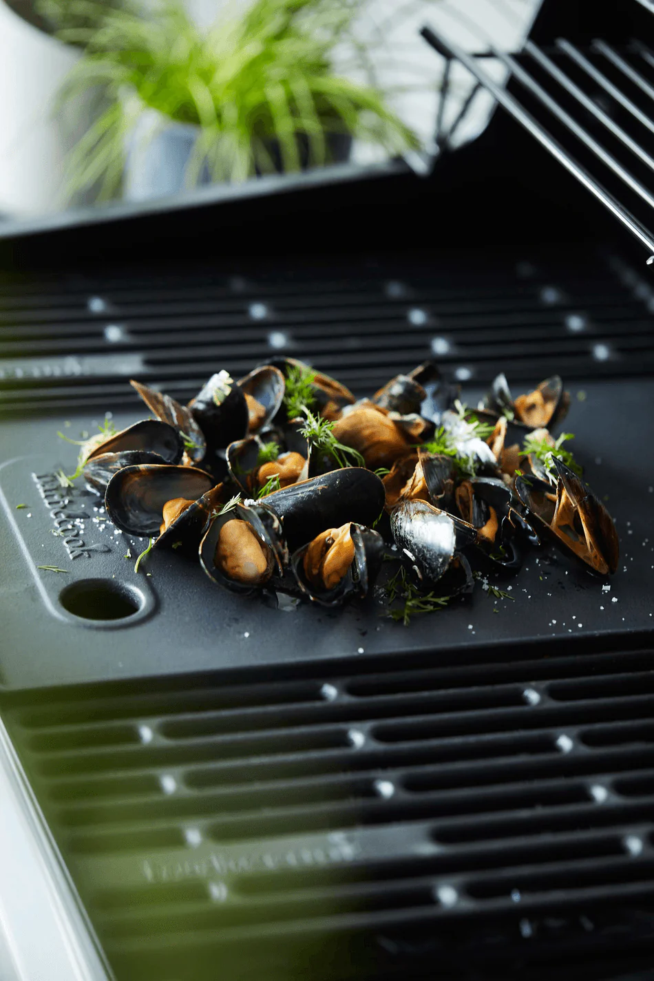 Grillplaat Brahma Barbecook