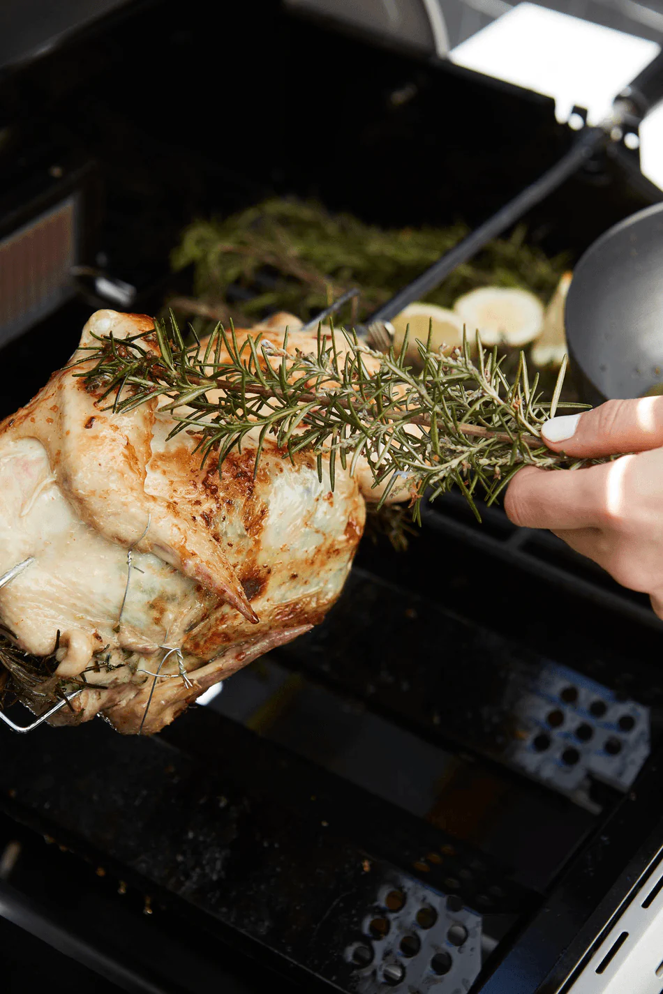 Mootoriga pöördvarras söegrillile Barbecook