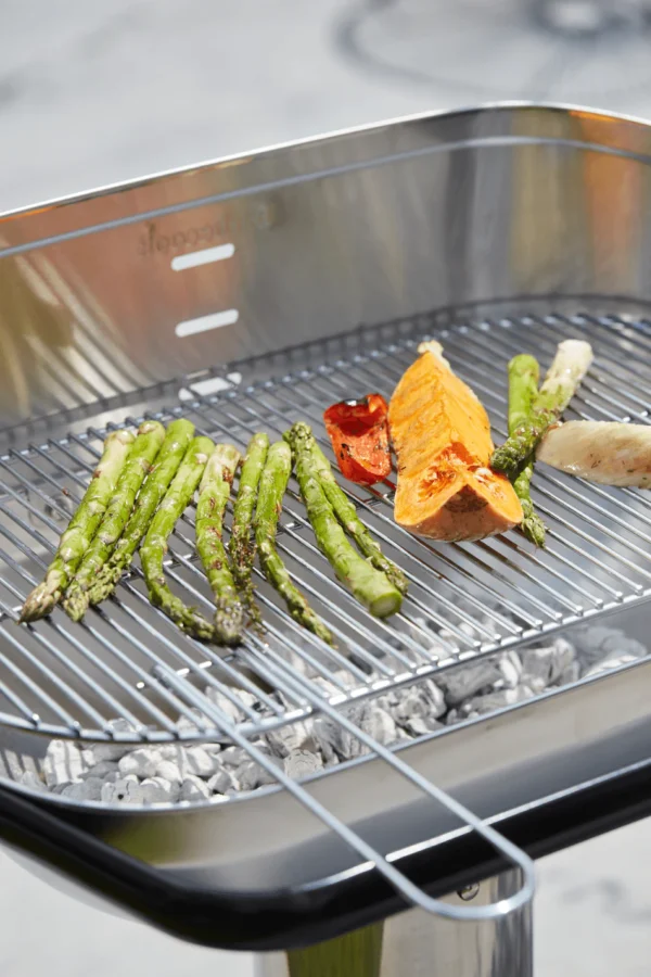 Barbecook roostevabast terasest grillrest 55 x 33,6 cm - Barbecook