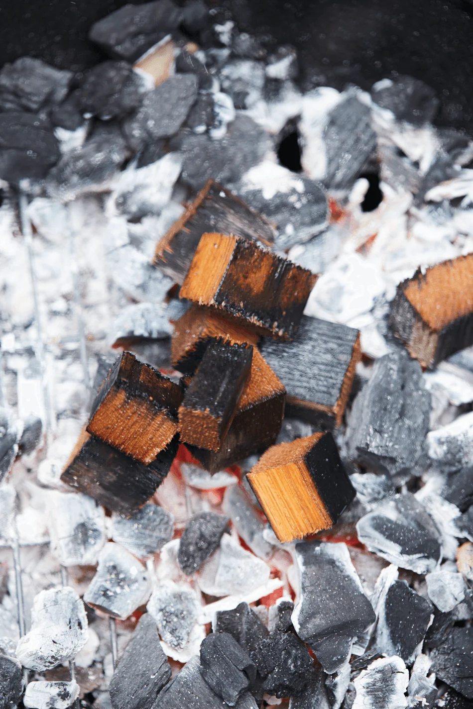 Suitsuklotsid Barbecook tamm, 900 g